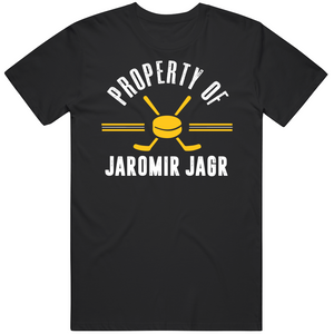 Jaromir Jagr Property Of Pittsburgh Hockey Fan T Shirt