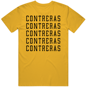 Roansy Contreras X5 Pittsburgh Baseball Fan V2 T Shirt