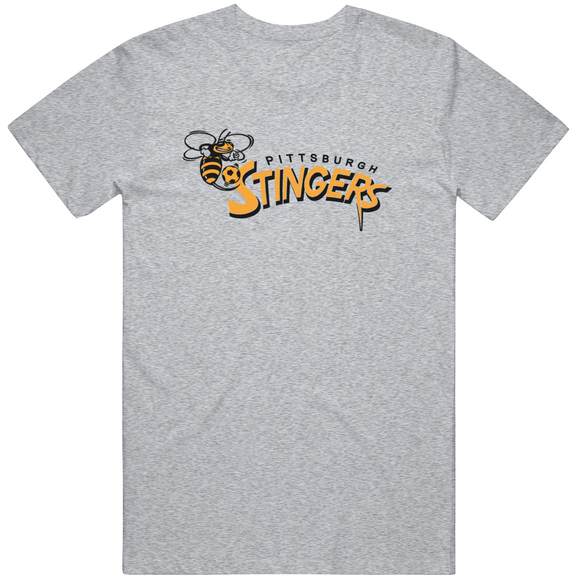 Pittsburgh Stingers Retro Soccer Fan T Shirt
