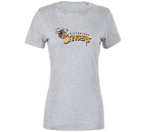Pittsburgh Stingers Retro Soccer Fan T Shirt