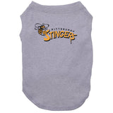 Pittsburgh Stingers Retro Soccer Fan T Shirt