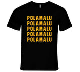 Troy Polamalu X5 Pittsburgh Football Fan T Shirt